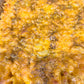 Office, Corporate and Cafeteria Style Catering